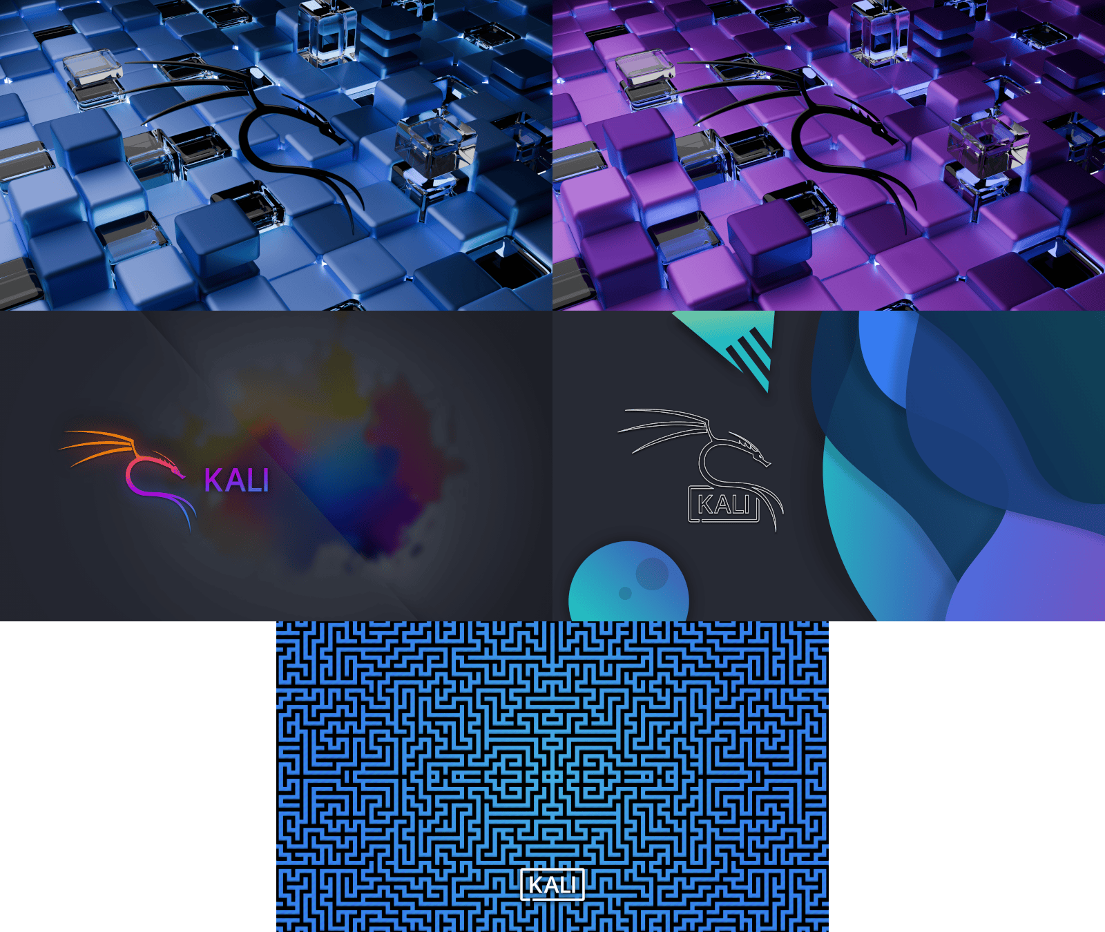 Kali 2025’s New Wallpapers