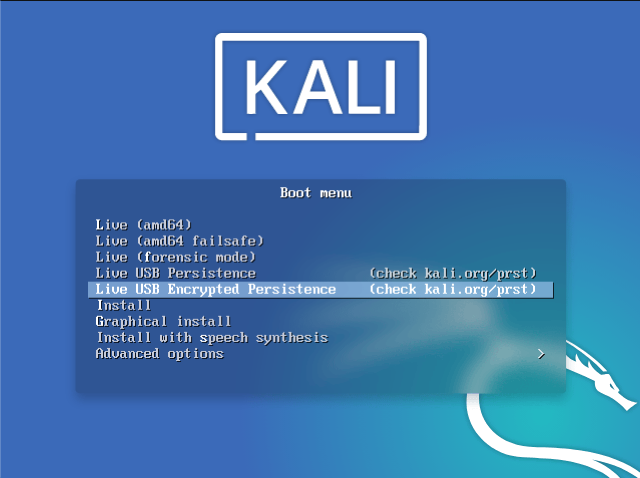 Adding Persistence to a Kali Linux Live USB Kali Linux Documentation